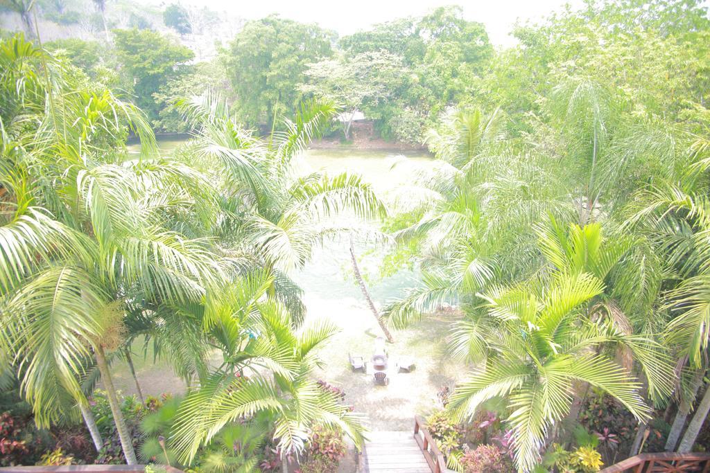 Mahogany Hall Luxury Boutique Resort San Ignacio Exteriör bild